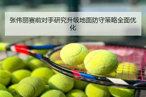 张伟丽赛前对手研究升级地面防守策略全面优化