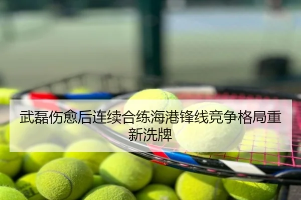 武磊伤愈后连续合练海港锋线竞争格局重新洗牌